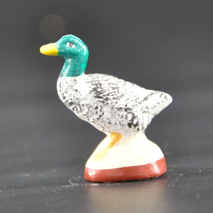 Canard debout