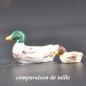 Caneton tête jaune Caneton tête jaune