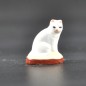 Chat petit blanc Chat petit blanc