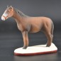 Cheval marron Cheval marron