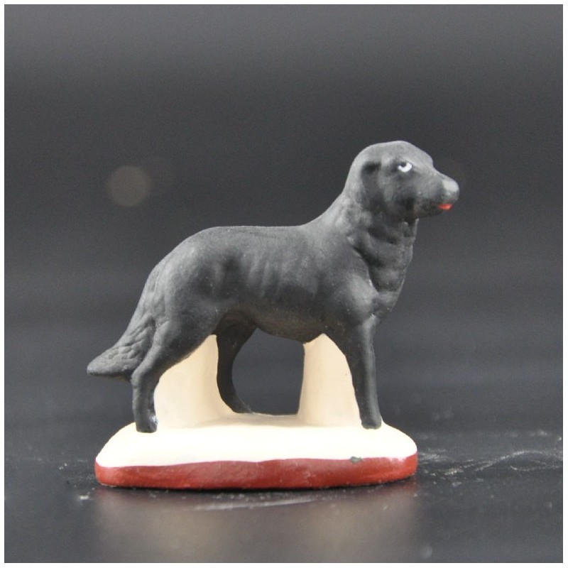 Chien noir