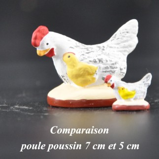 Poule poussin blanche