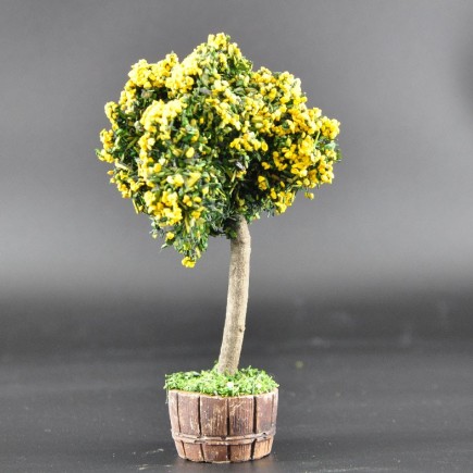 arbre jaune