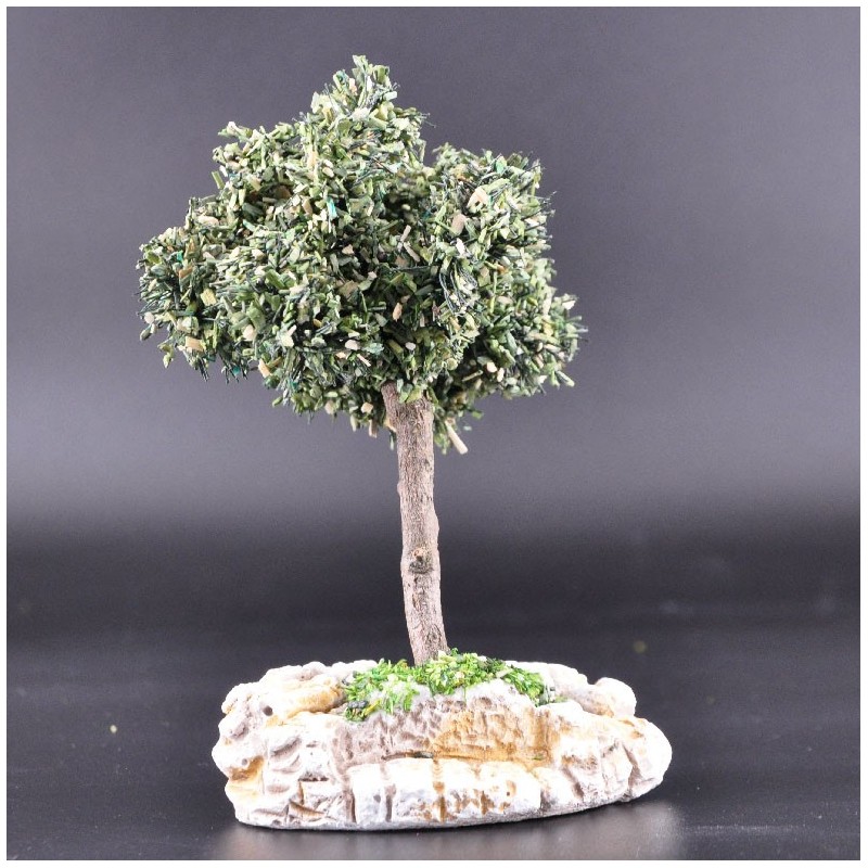 Arbre petit olivier