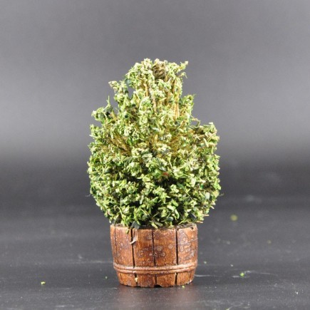 tonneau buisson