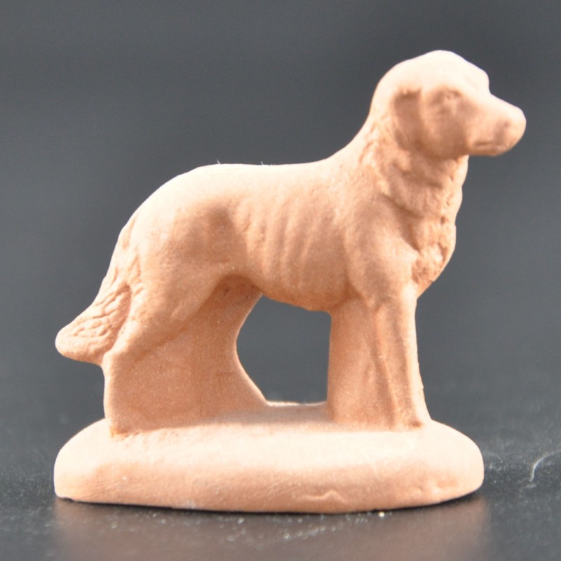 Chien brut Chien brut