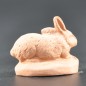 Lapin couché brut Lapin couché brut