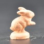 Lapin debout brut