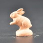 Lapin debout brut