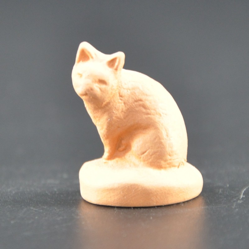Chat petit brut Chat petit brut