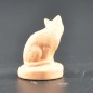 Chat petit brut Chat petit brut
