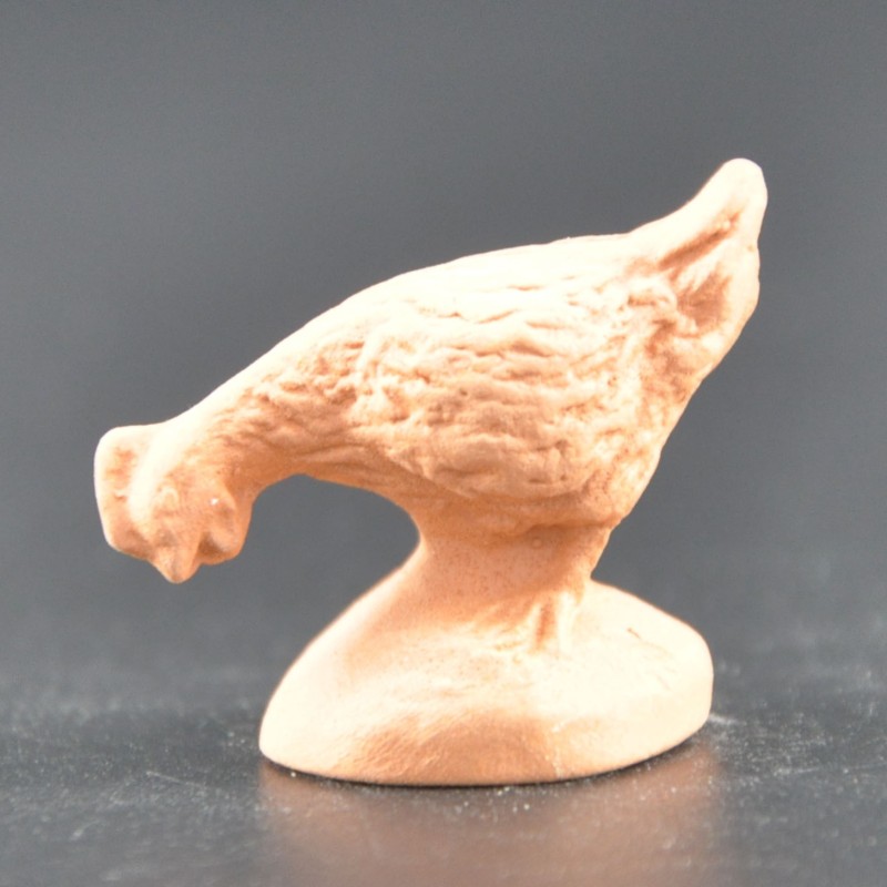 Poule simple brut Poule simple brut