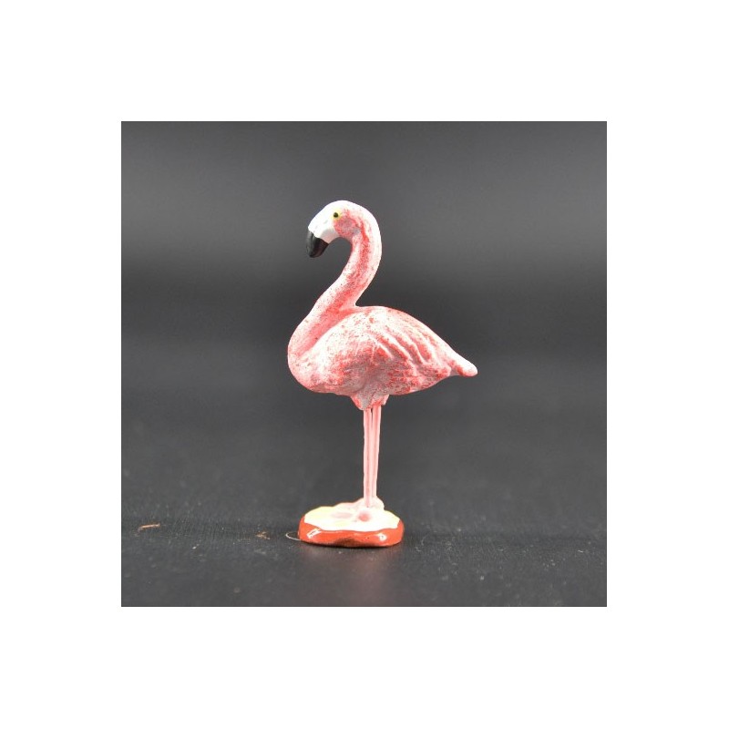 flamant rose