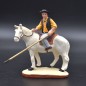 gardian jaune à cheval gardian jaune à cheval