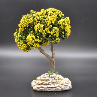 arbre fleuri jaune (mimosa)