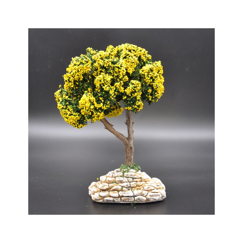 arbre fleuri jaune (mimosa)