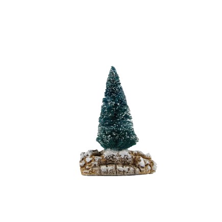 sapin petit