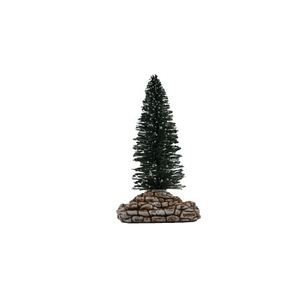 sapin grand