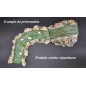 riviere courbée riviere courbée