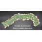 riviere courbée riviere courbée