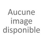 Univers des joueurs de carte